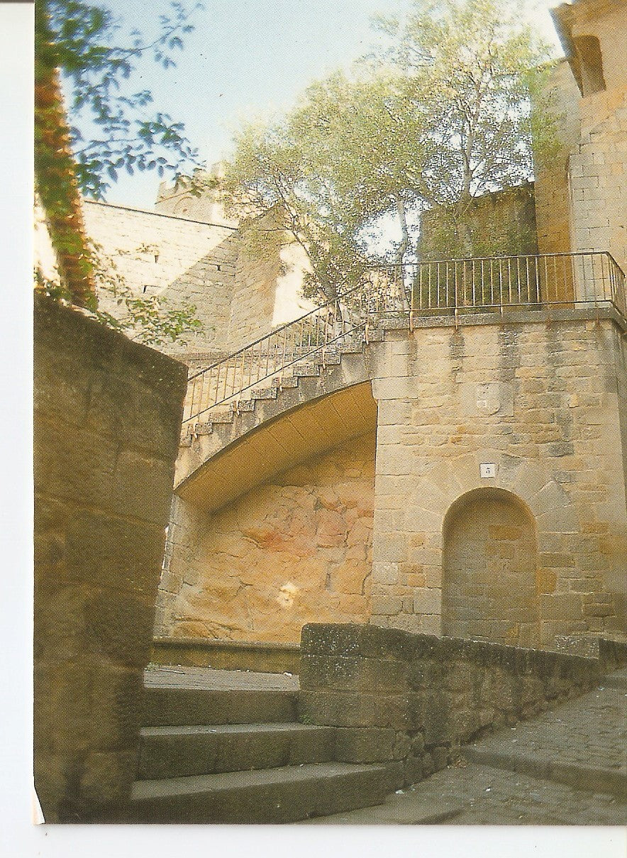 Postal 038044 : SOS del Rey Catolico (Zaragoza). Subida al Castillo