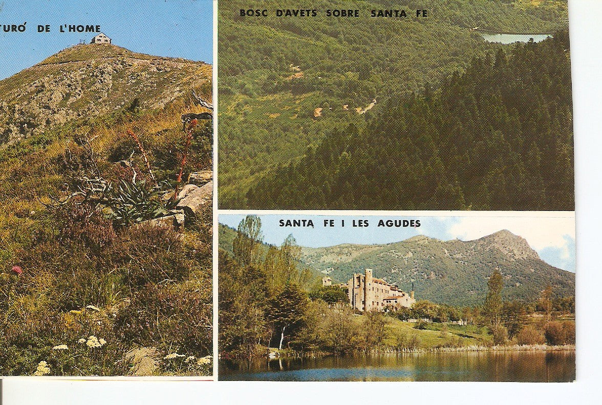 Postal 038078 : Montseny