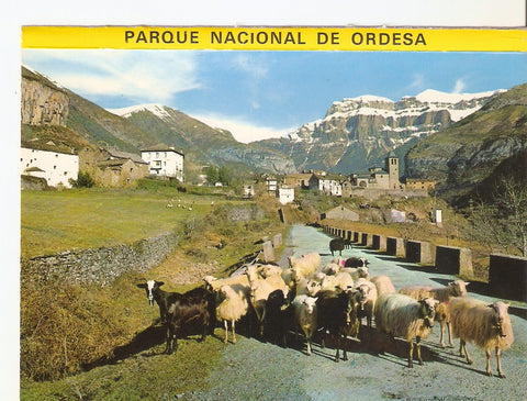 Postal 038225 : Parque Nacional de Ordesa. Torla (Huesca - Pirineo Aragones). Vista general y Mondarruego al fondo
