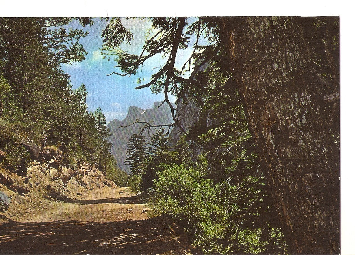 Postal 038229 : Torla - Bujaruelo (Pirineo Aragones). Carretera Bujaruelo-Ordesa. Al fondo Las Proas