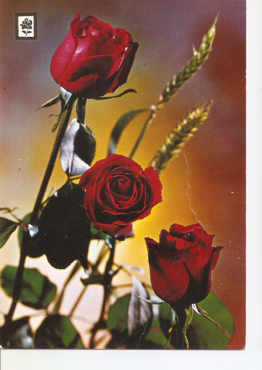 Postal 038292 : Coleccion de Flores