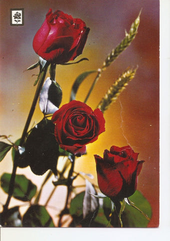 Postal 038292 : Coleccion de Flores