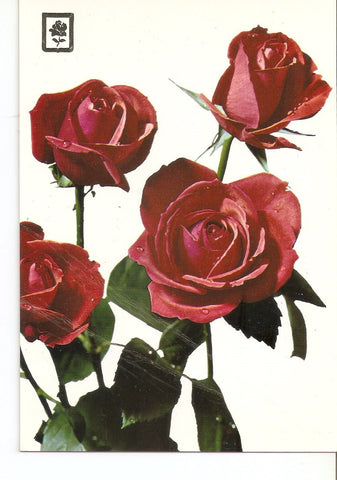 Postal 038293 : Coleccion de Flores