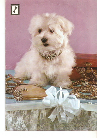 Postal 038296 : Animales domesticos
