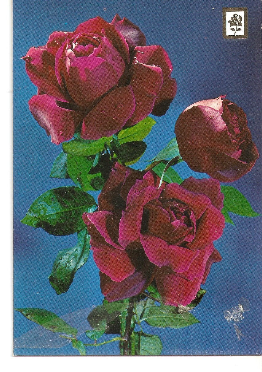 Postal 038299 : Coleccion de Flores