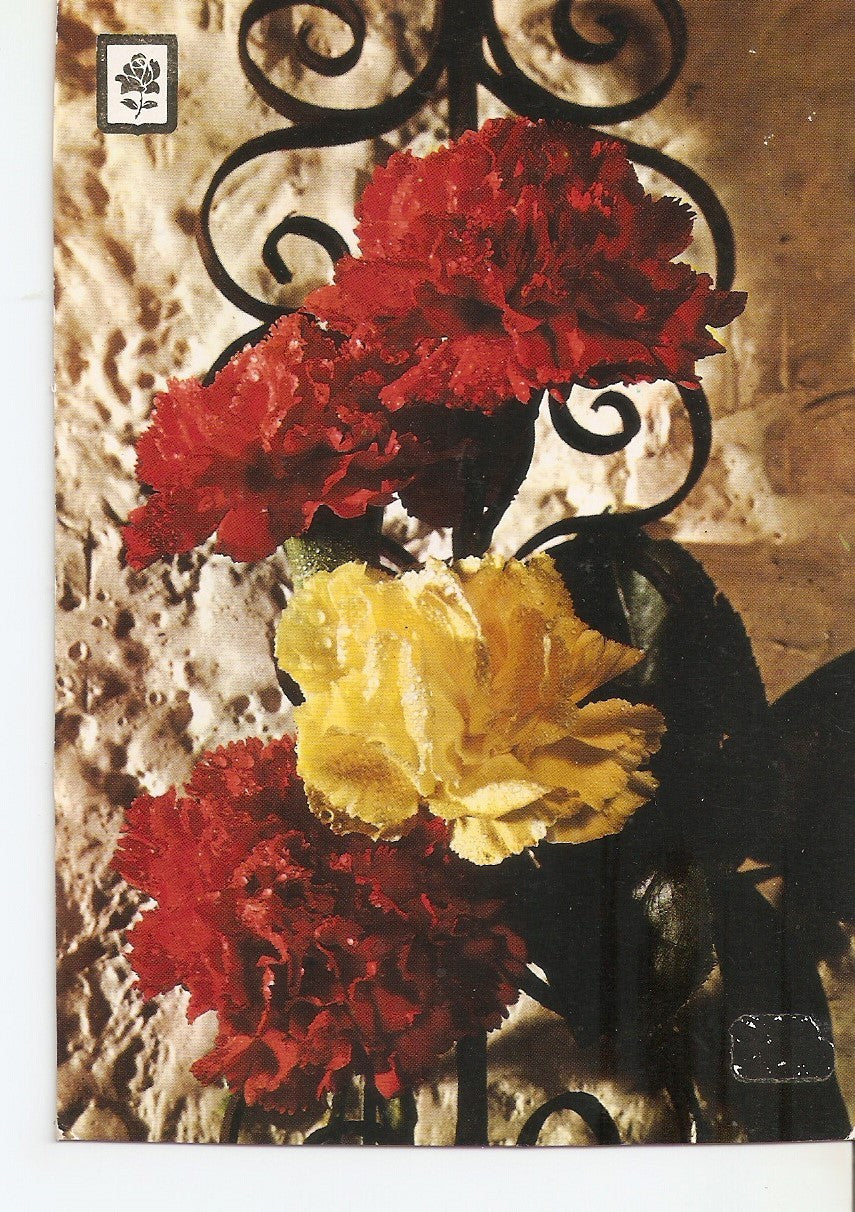 Postal 038318 : Coleccion de Flores