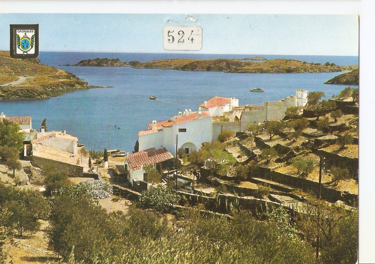 Postal 038320 : Cadaques. Port Lligat. Vista parcial