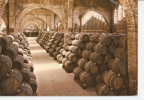 Postal 038324 : Cavas Codorniu una bodega