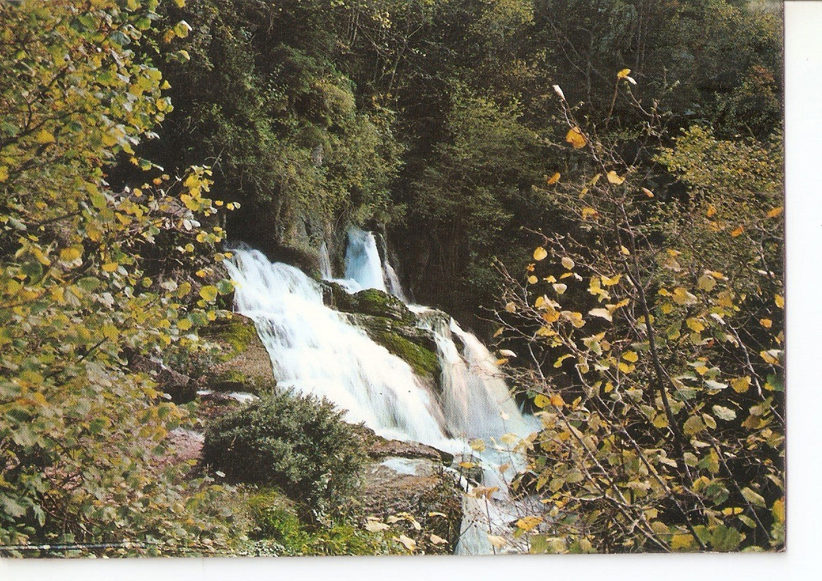 Postal 038336 : Castellar de nHug. Las fuentes del Llobregat en Otoño
