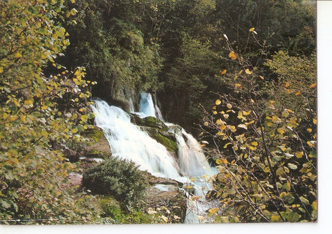 Postal 038336 : Castellar de nHug. Las fuentes del Llobregat en Otoño