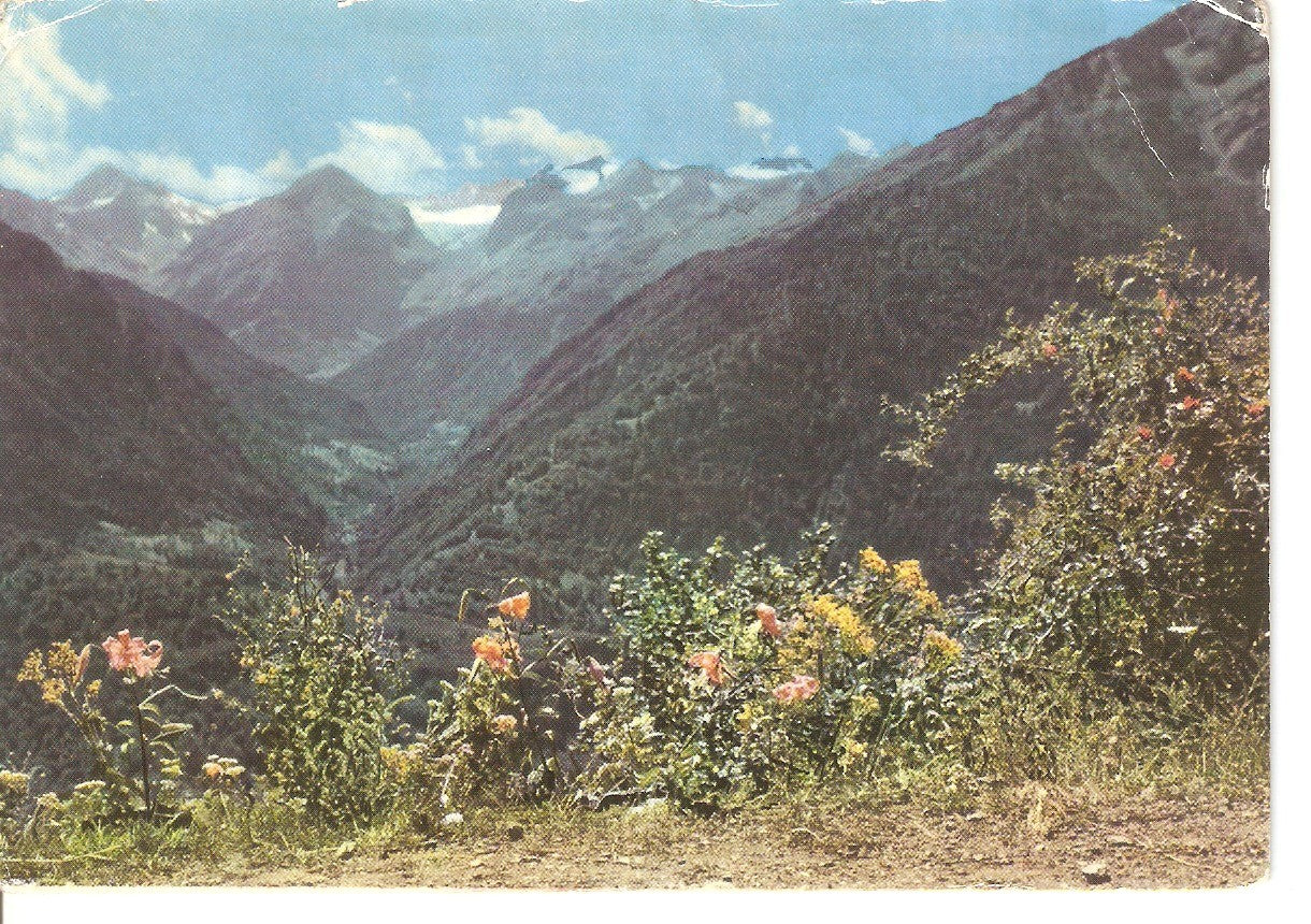 Postal 038337 : Valle de Aran. Artiga de Lin y Aneto