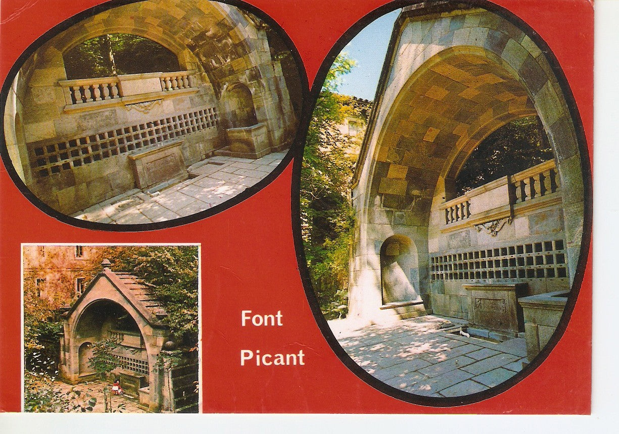 Postal 038343 : Font Picant. San Hilario Sacalm