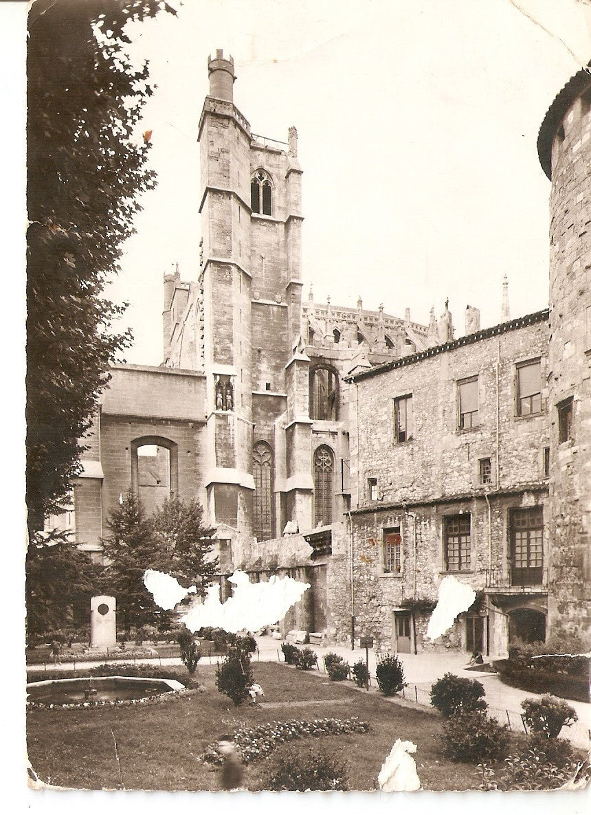 Postal 038397 : Narbonne (Aude). Jardin de la Cathedrale St. Just