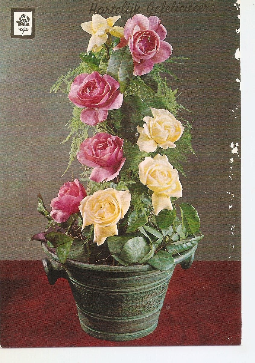 Postal 038398 : Flores. Hartelijk Gefeliciteerd
