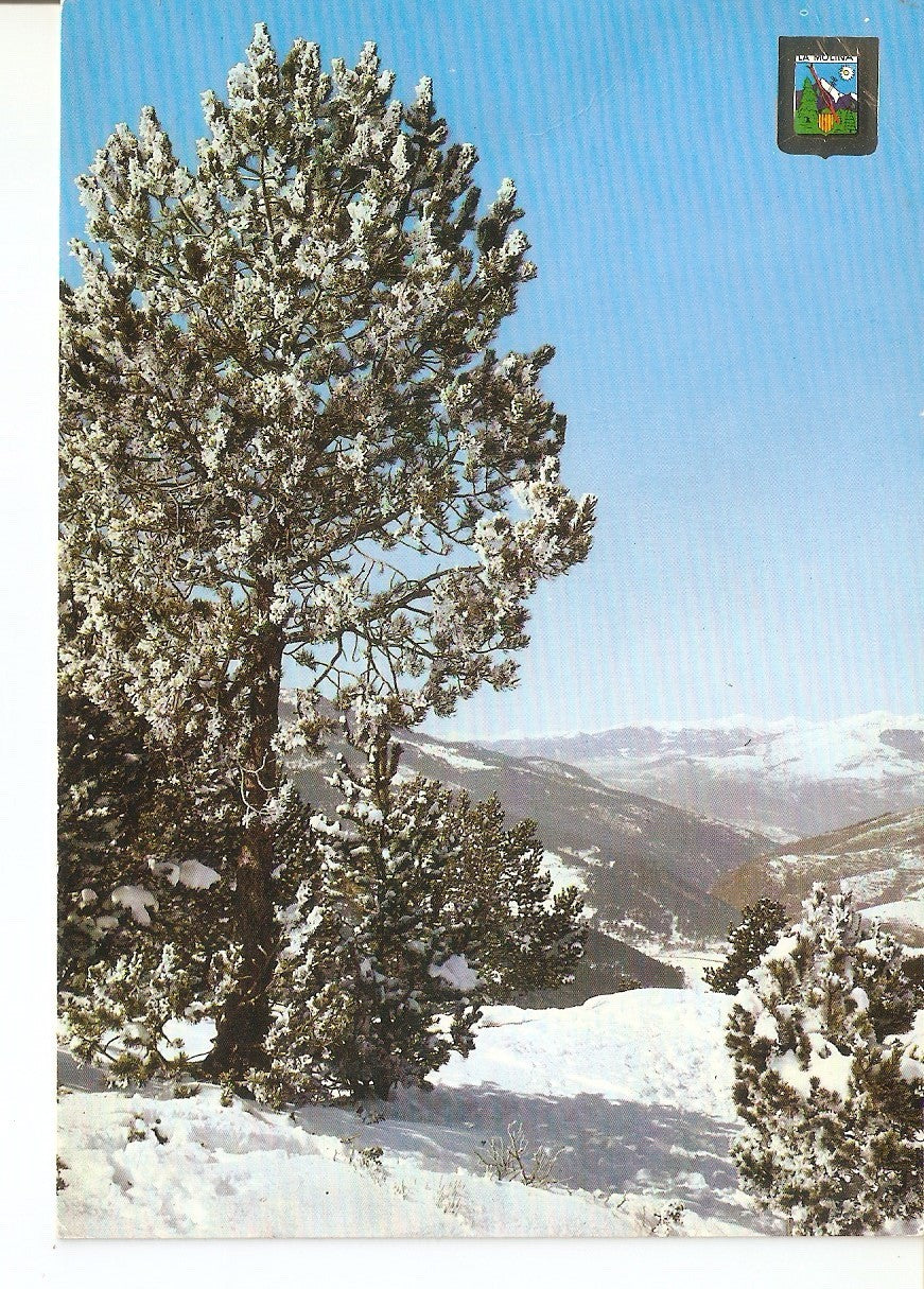 Postal 038434 : Collada de Tossas (Girona). La Molina. Bello paisaje invernal