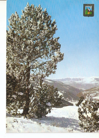 Postal 038434 : Collada de Tossas (Girona). La Molina. Bello paisaje invernal