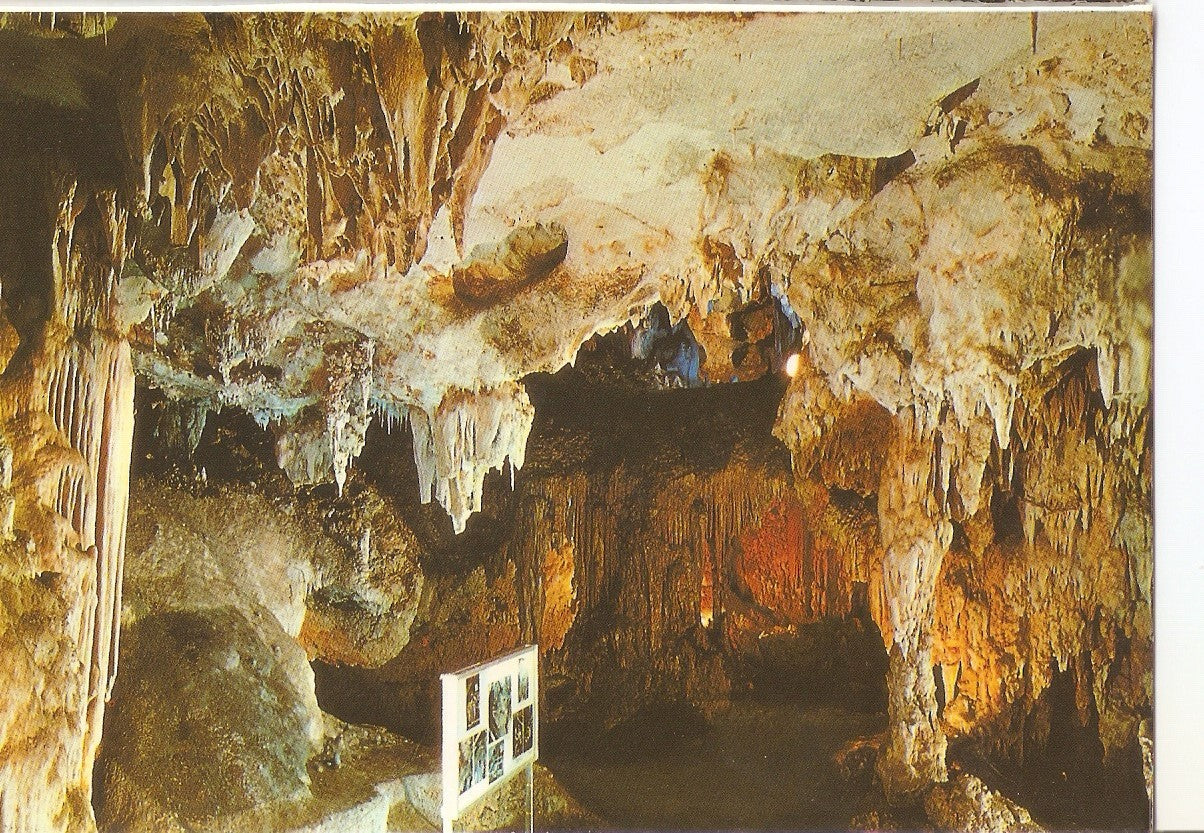 Postal 038463 : Cueva de Nerja (Malaga). Sala del Museo