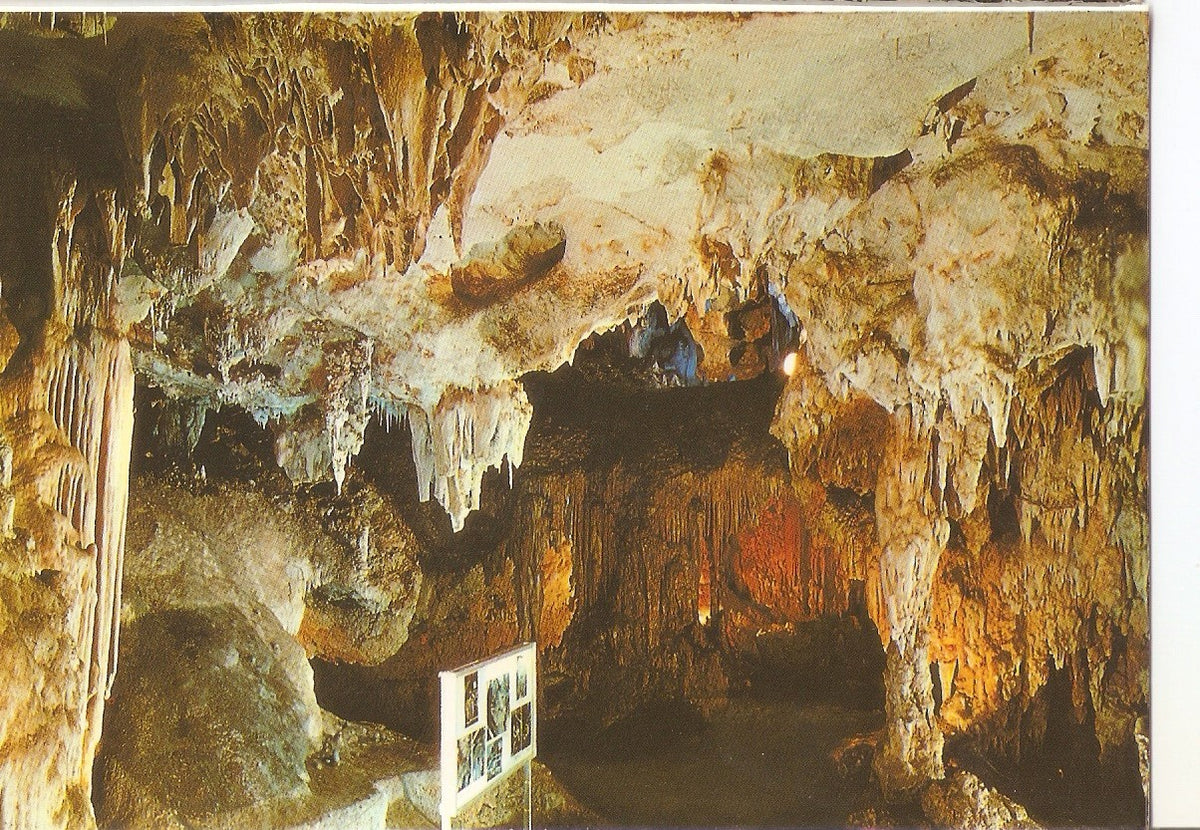 Postal 038463 : Cueva de Nerja (Malaga). Sala del Museo