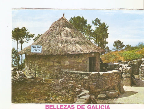 Postal 038506 : La Guardia (Galicia). Citania. Monte Santa Tecla