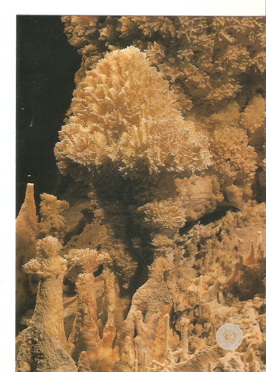 Postal 038535 : Cueva de Nerja (Malaga) España. Detalle de la Sala de los Niveles