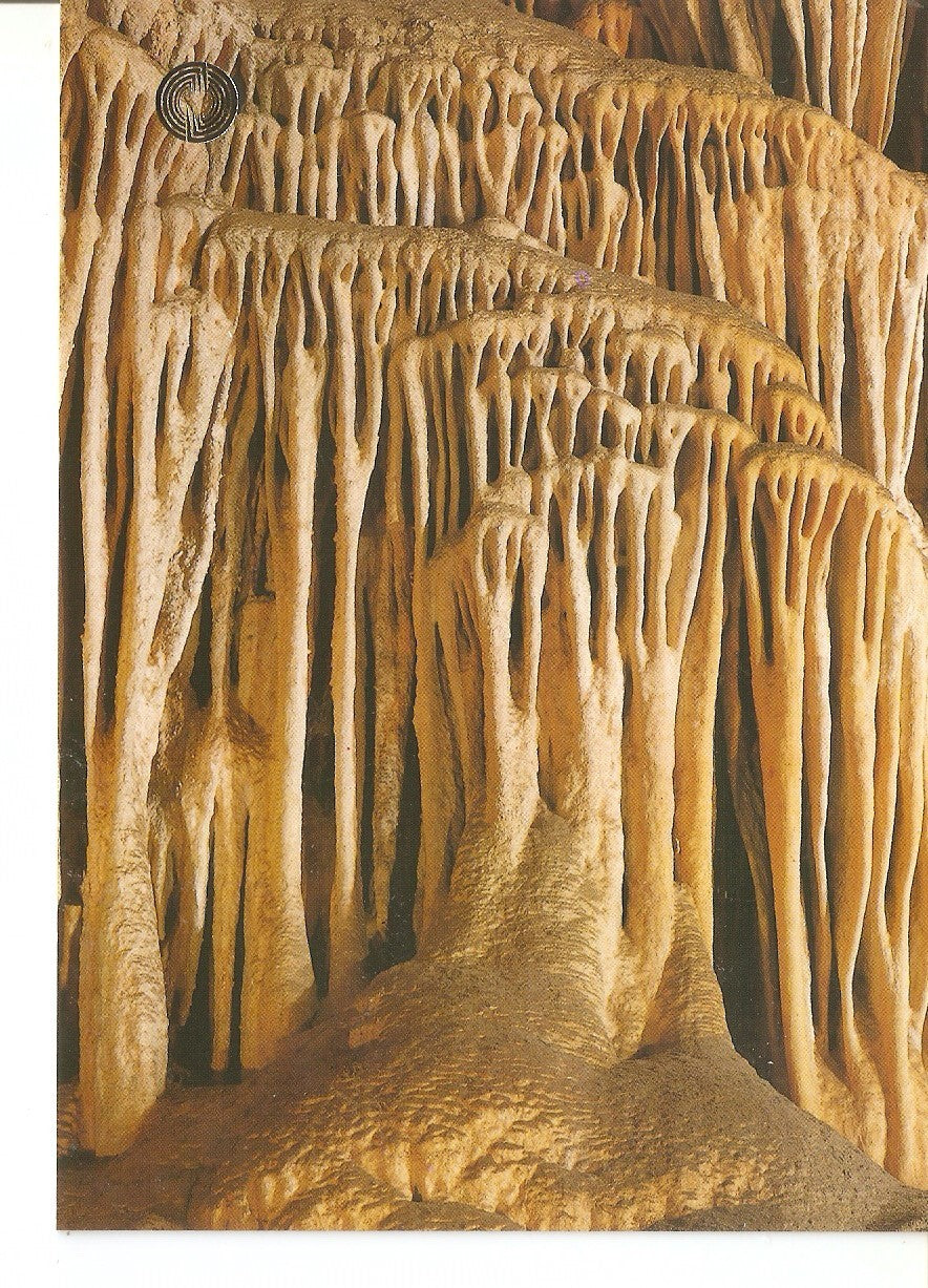 Postal 038537 : Cueva de Nerja (Malaga) España. Sala del Organo (Detalle)