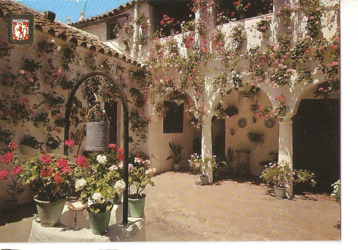 Postal 038553 : Cordoba. Patio cordobñes en la calle En medio