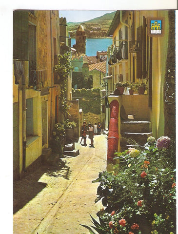 Postal 038560 : Port de Pyrenee. Rue Typique Catalane