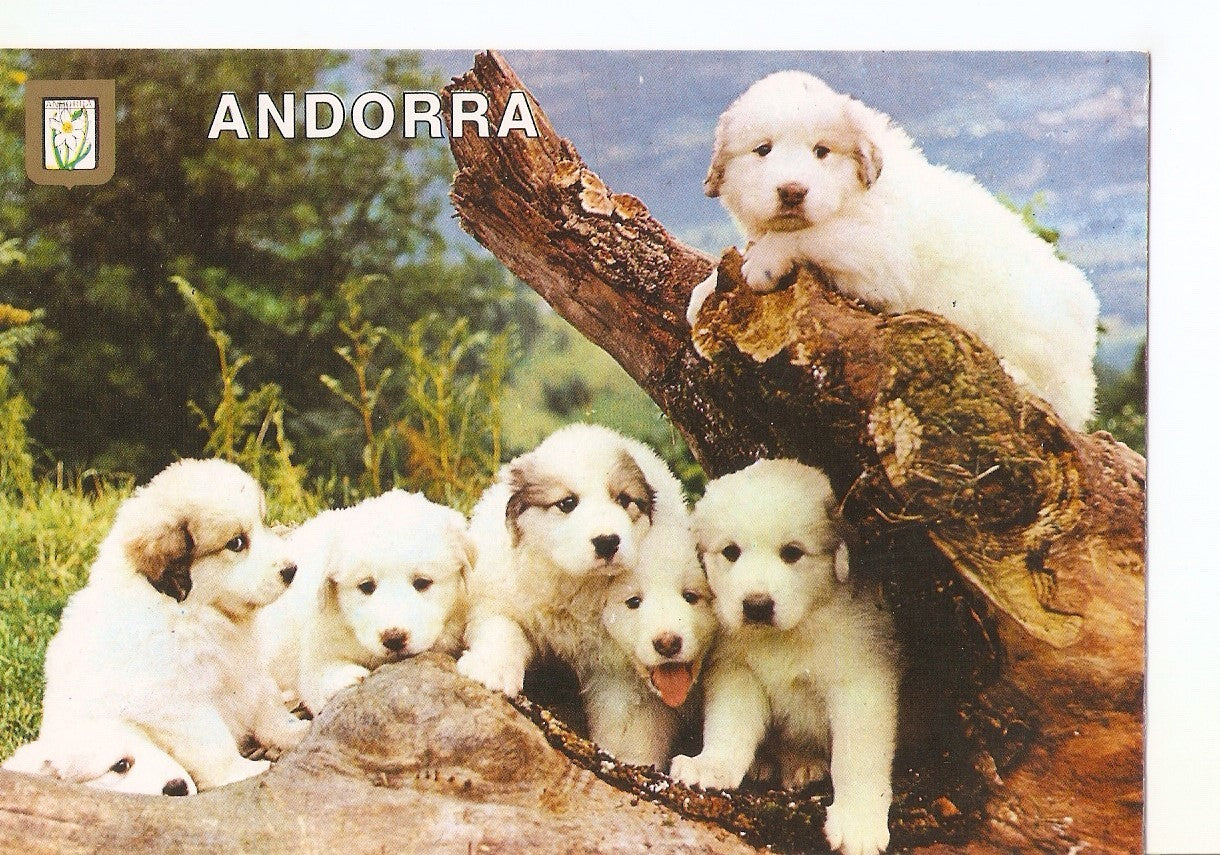 Postal 038640 : Andorra. Paisaje de montaña