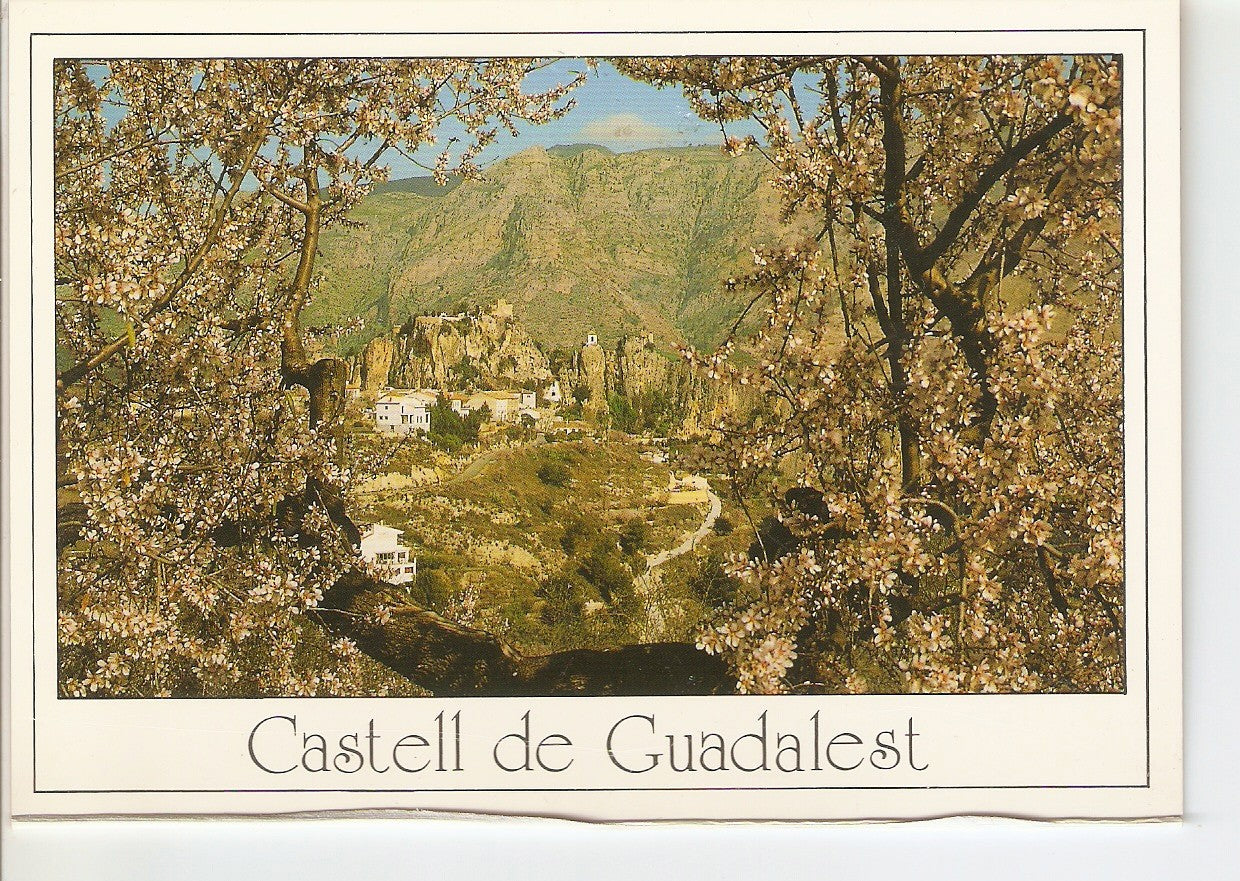 Postal 038669 : Castell de Guadalest (Alicante). Vista pintoresca