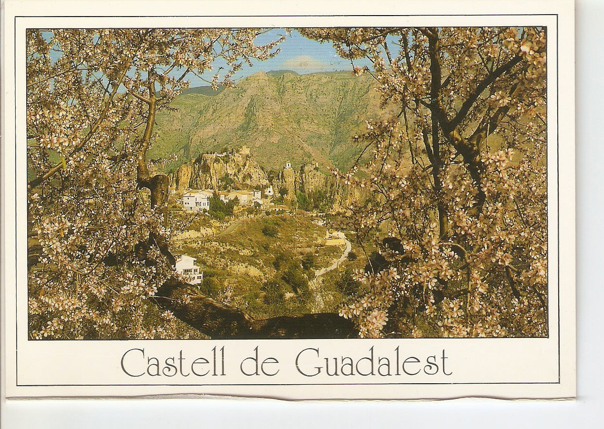 Postal 038669 : Castell de Guadalest (Alicante). Vista pintoresca