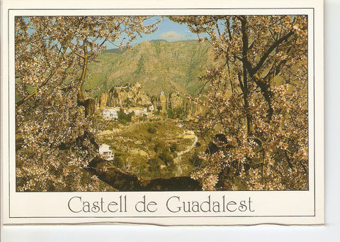Postal 038669 : Castell de Guadalest (Alicante). Vista pintoresca