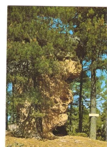 Postal 038676 : Cuenca. Ciudad Encantada. La cara del hombre