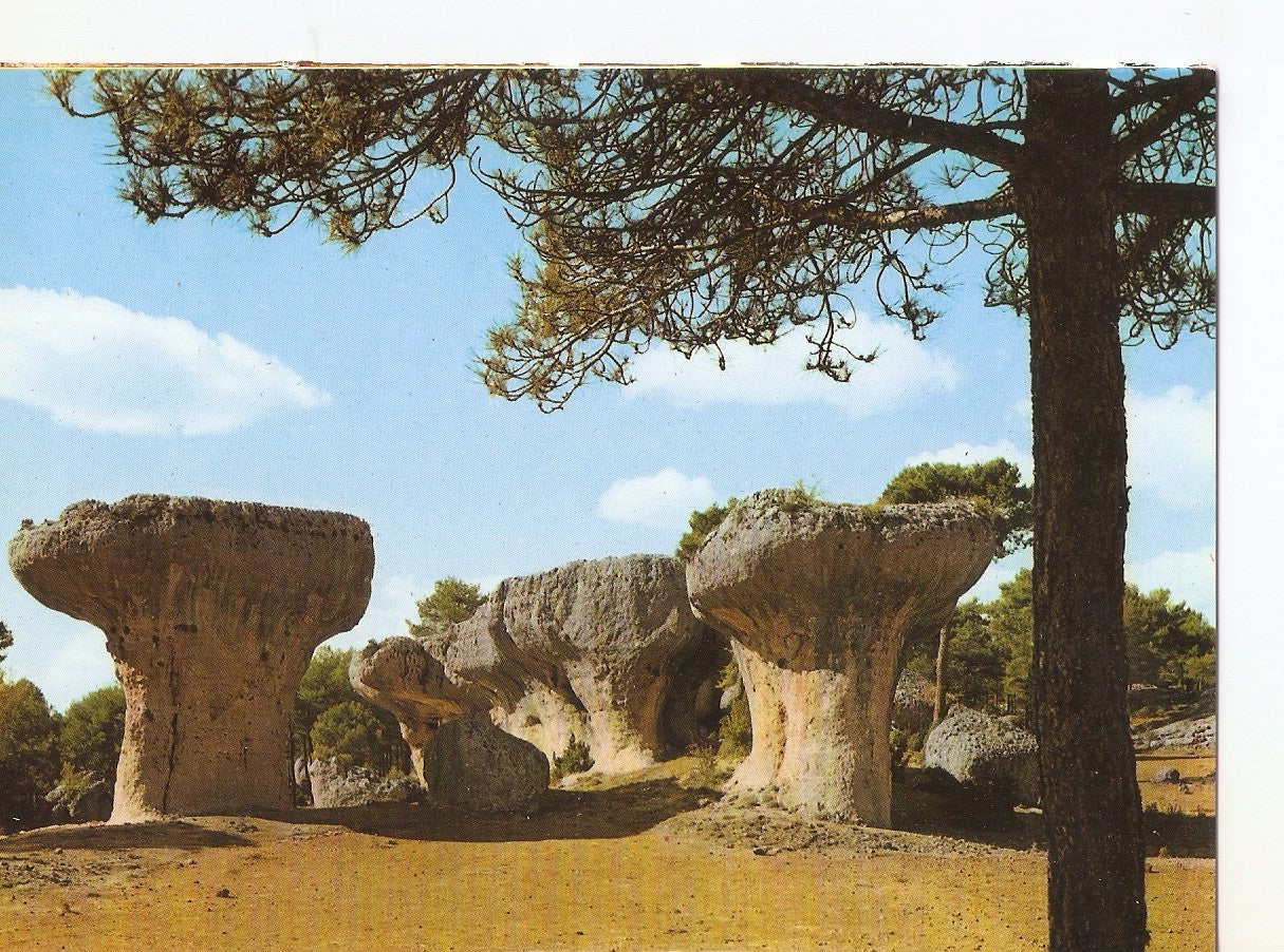 Postal 038678 : Cuenca. Ciudad Encantada. Setas en la Plaza Mayor
