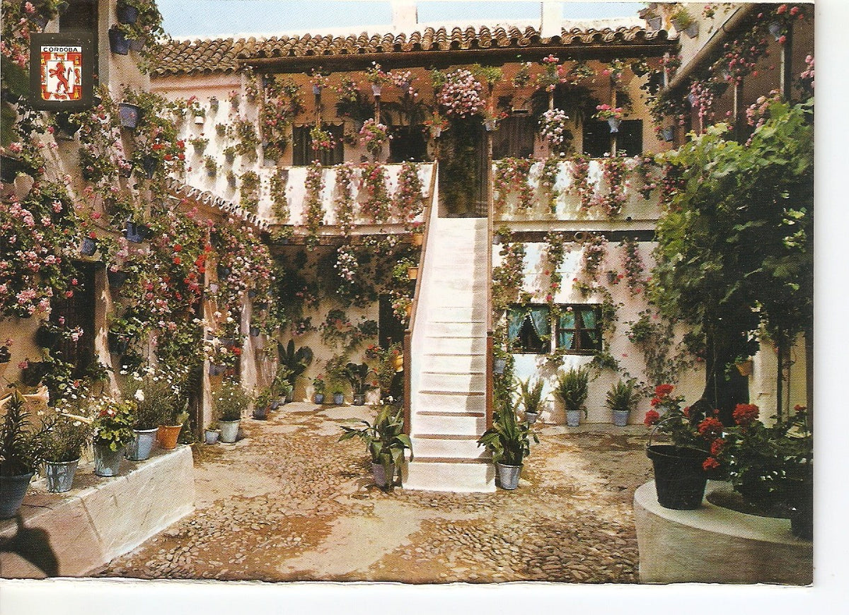 Postal 038696 : Cordoba. Patio Cordobes. Primer premio