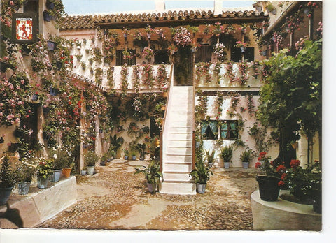 Postal 038696 : Cordoba. Patio Cordobes. Primer premio