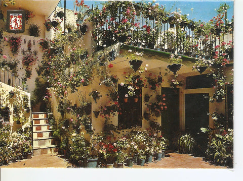 Postal 038698 : Cordoba. Patio cordobes