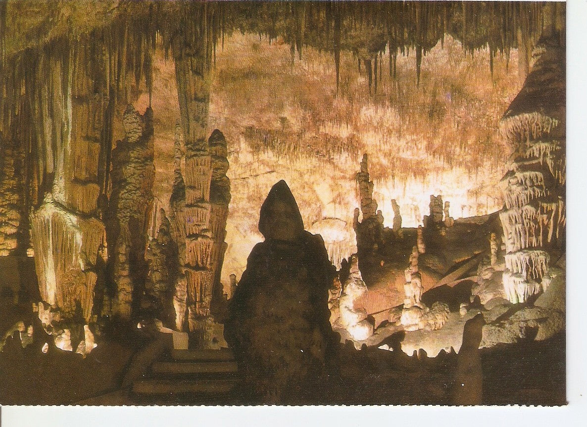 Postal 038729 : Cuevas del Drach. Porto Cristo - Mallorca. Monje y Cactus