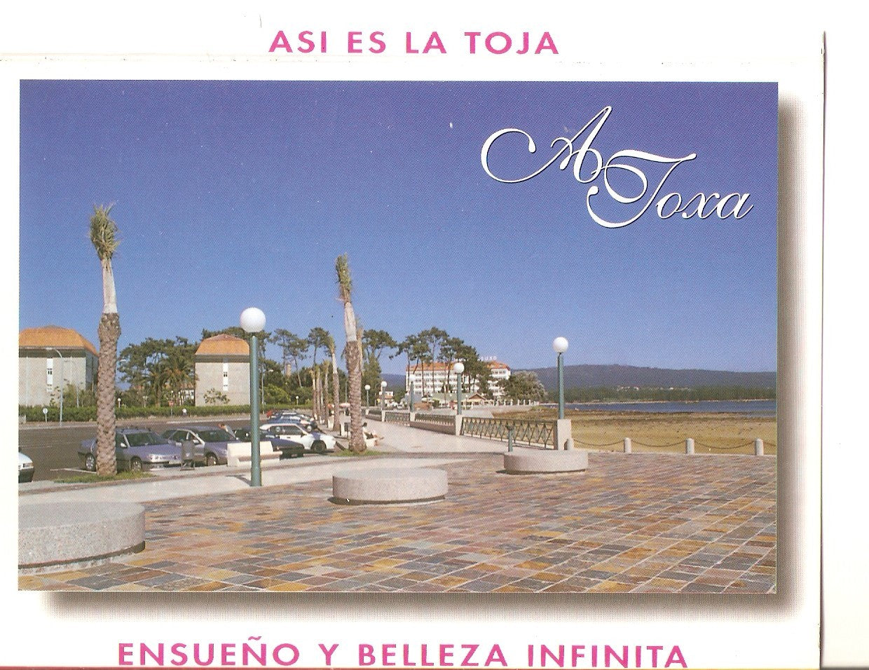 Postal 038761 : La Toja (Pontevedra). Maseo Maritimo