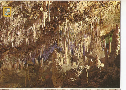 Postal 038815 : Mallorca. Porto Cristo (Manacor). Cuevas dels Hams. Salon de Armas