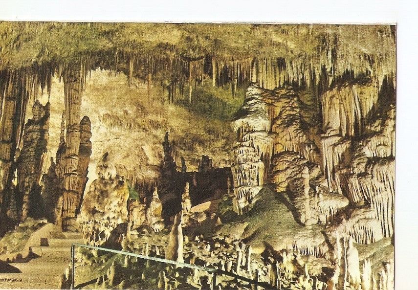 Postal 038832 : Cuevas del Drach. Porto Cristo - Mallorca. Monte y Cactus