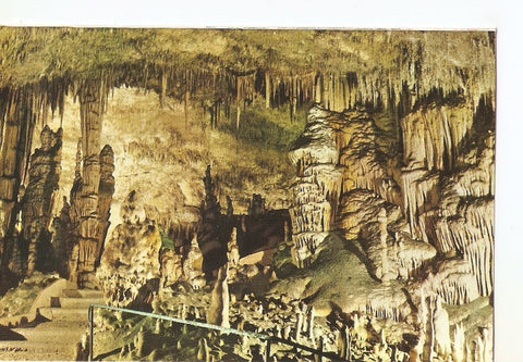 Postal 038832 : Cuevas del Drach. Porto Cristo - Mallorca. Monte y Cactus