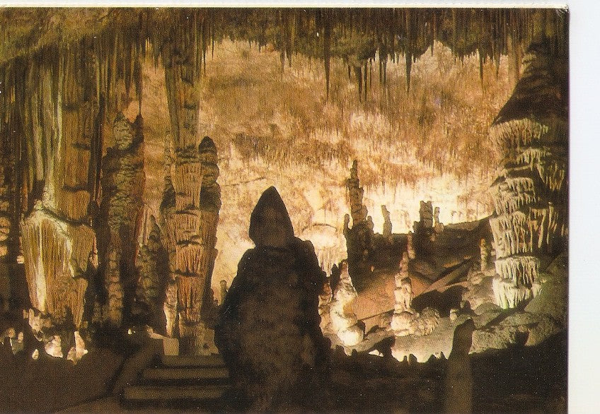 Postal 038835 : Cuevas del Drach. Porto Cristo - Mallorca. Monje y Cactus