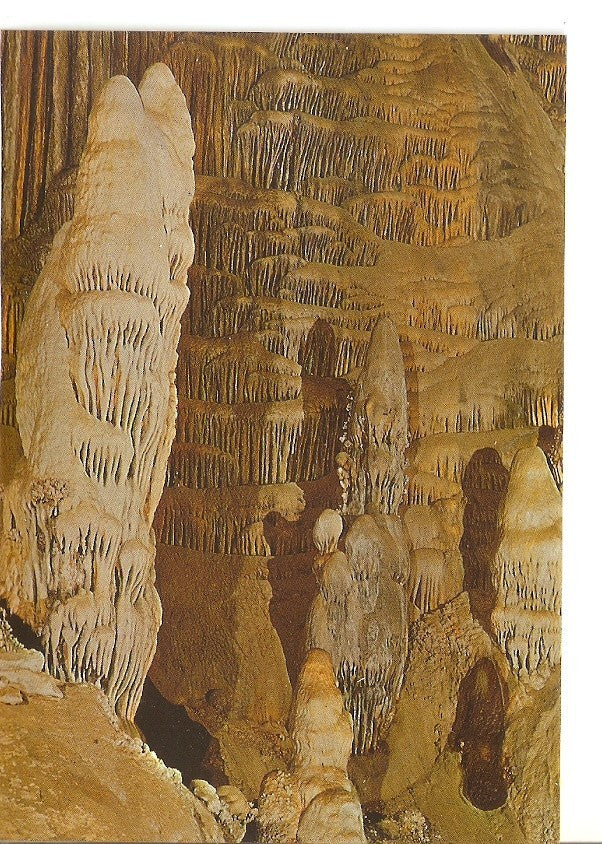 Postal 038893 : Cueva de Nerja (Malaga). Sala de los Festivales