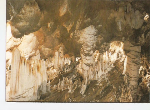 Postal 038911 : La Gruta de las Maravillas. Catedral