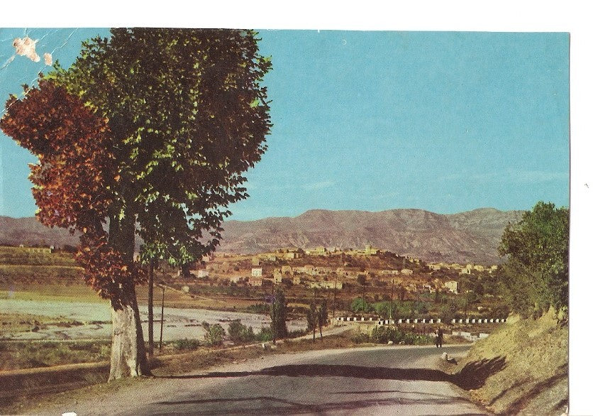 Postal 038931 : Pirineos Centrales. Tremp - vista parcial