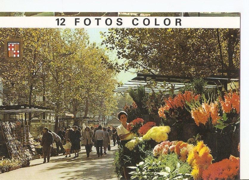 Postal 038937 : Barcelona. Rambla