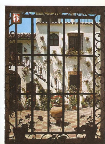 Postal 038010 : Cordoba.: Patio cordobes  