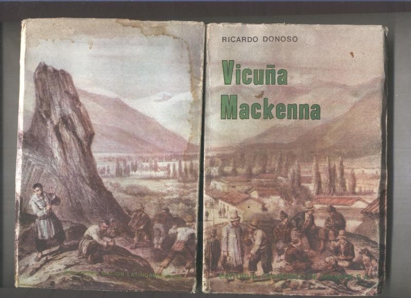 Vicuña Mackenna