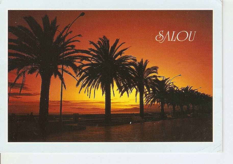 Postal 038961 : Salou. Costa Dorada