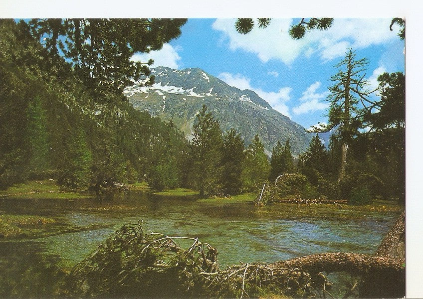 Postal 038962 : Pirineu Catala-Vall de Bohi (Lleida). Parc Nacional dAigues Tortes